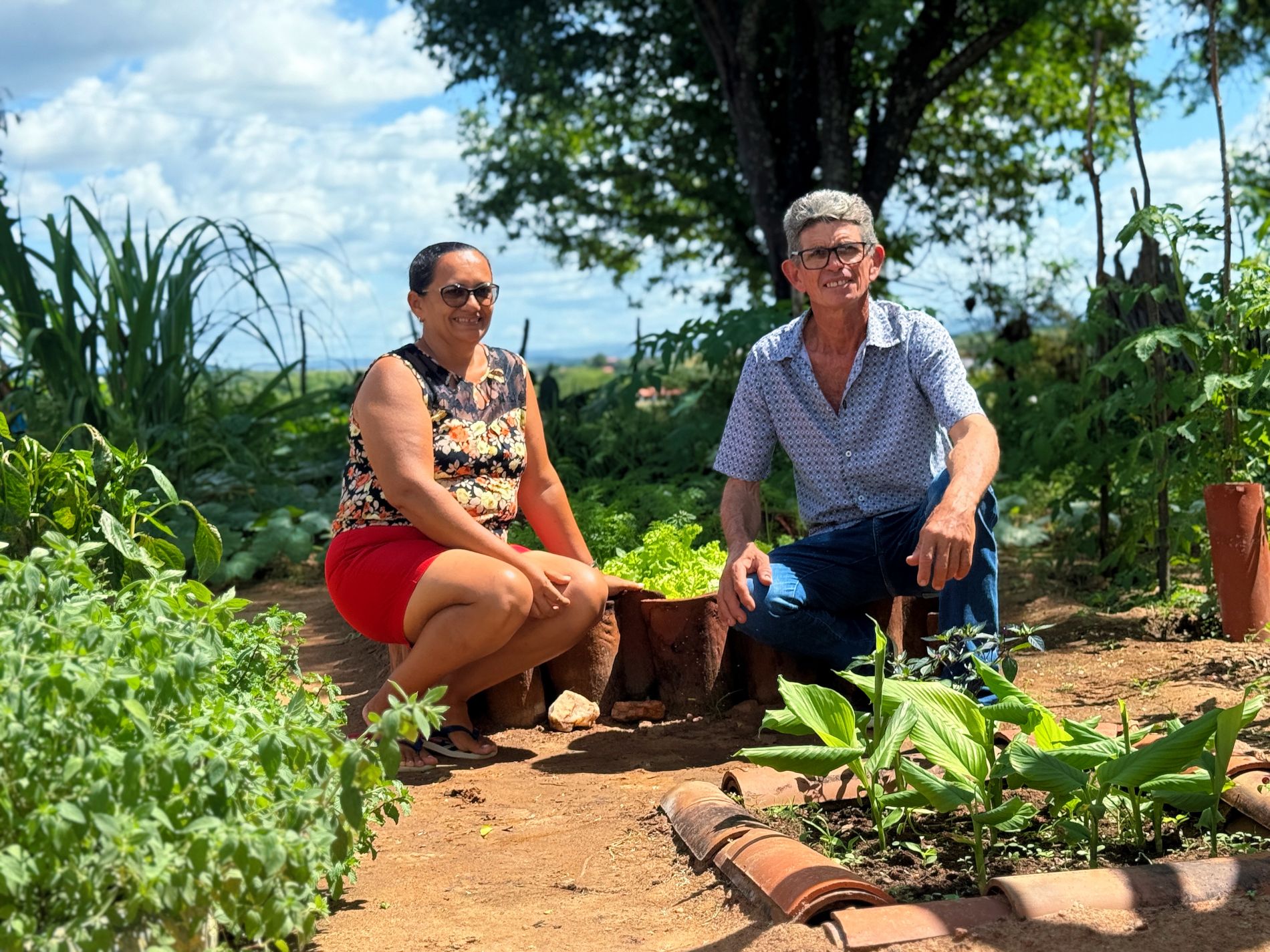 Produção e Meio Ambiente